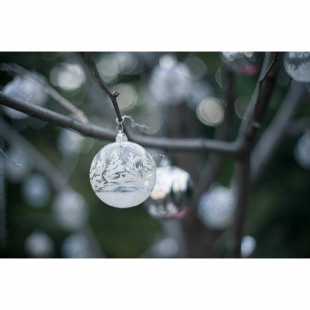 CONTAX - 希少黒刻印！標準の帝王 Planar 50mm F1.4 AEJ オールド