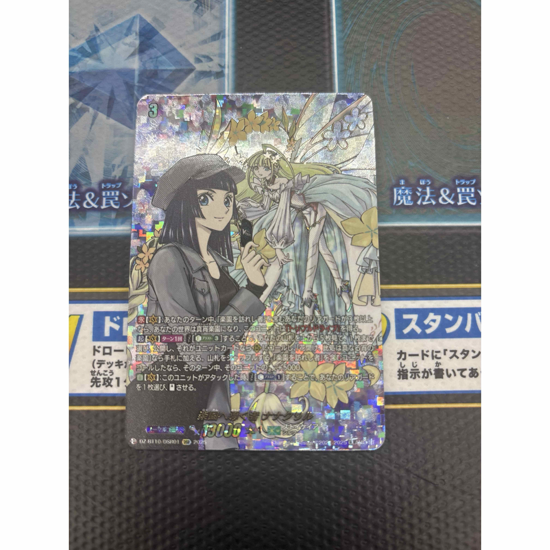 楽園へ導く者ナナクリル DSR - odrs.ca