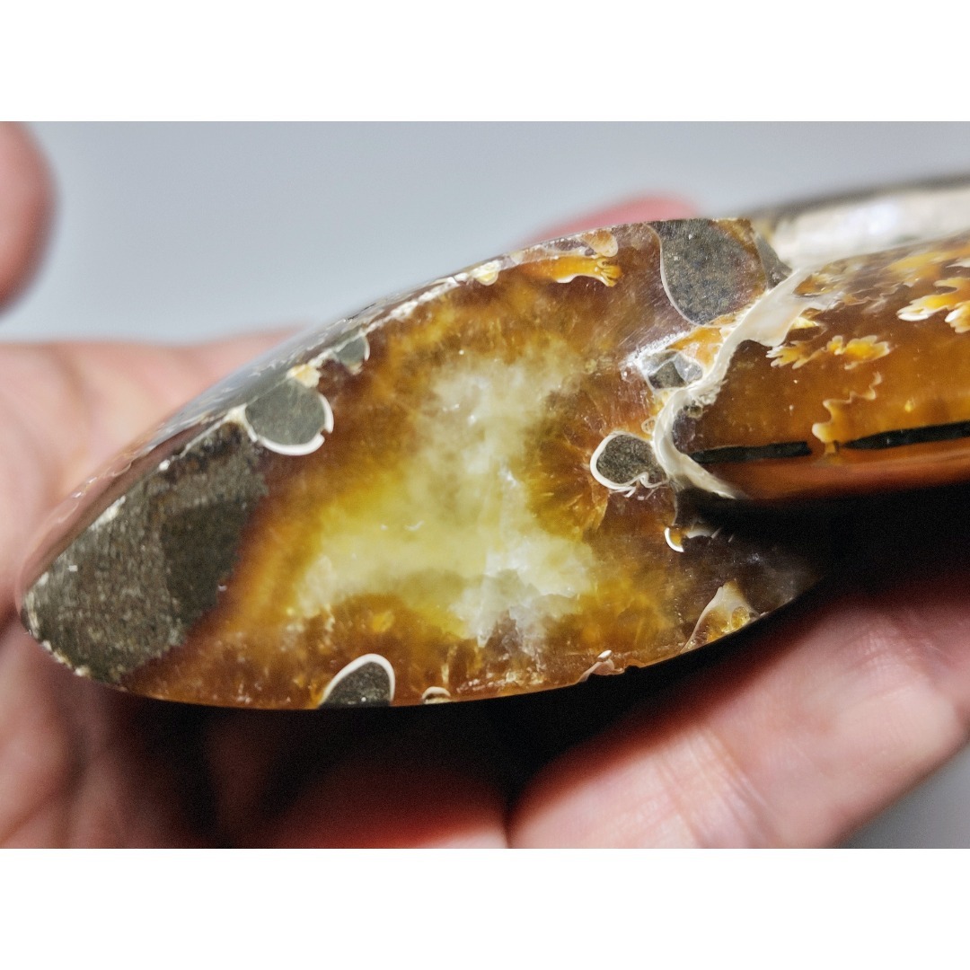 アンモナイト 383g アンモライト オパール 原石 鑑賞石 自然石 誕生石