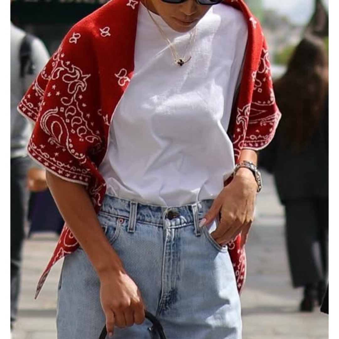 GYPSOPHILA - Gypsophila ジプソフィア Paisley Knit Stole 赤の通販