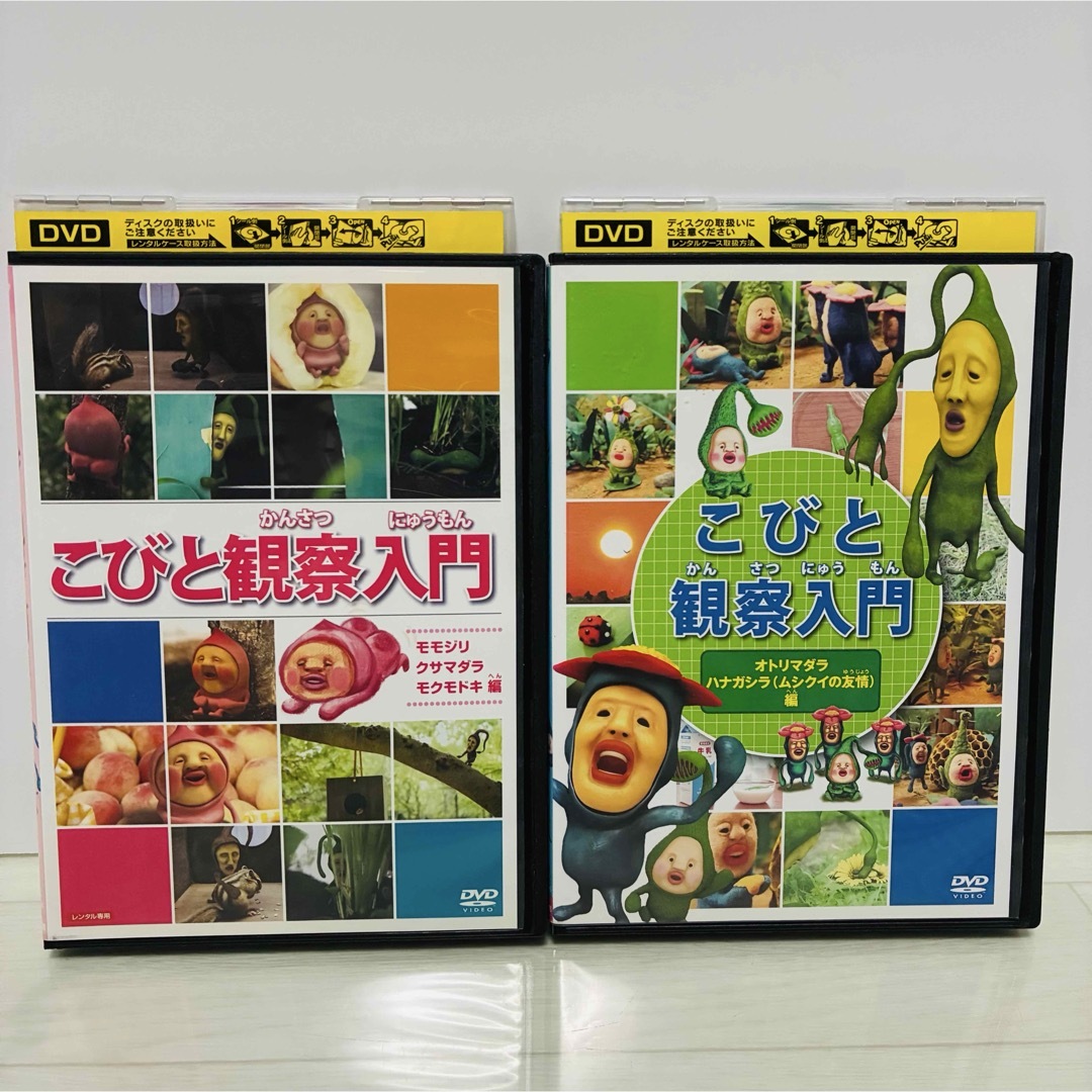 こびと観察入門 DVD 2枚セット モモジリ クサマダラ オトリマダラの