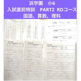 1点限り【浜学園】灘中入試過去問6年分 国語 算数理科 回答解説付 1点