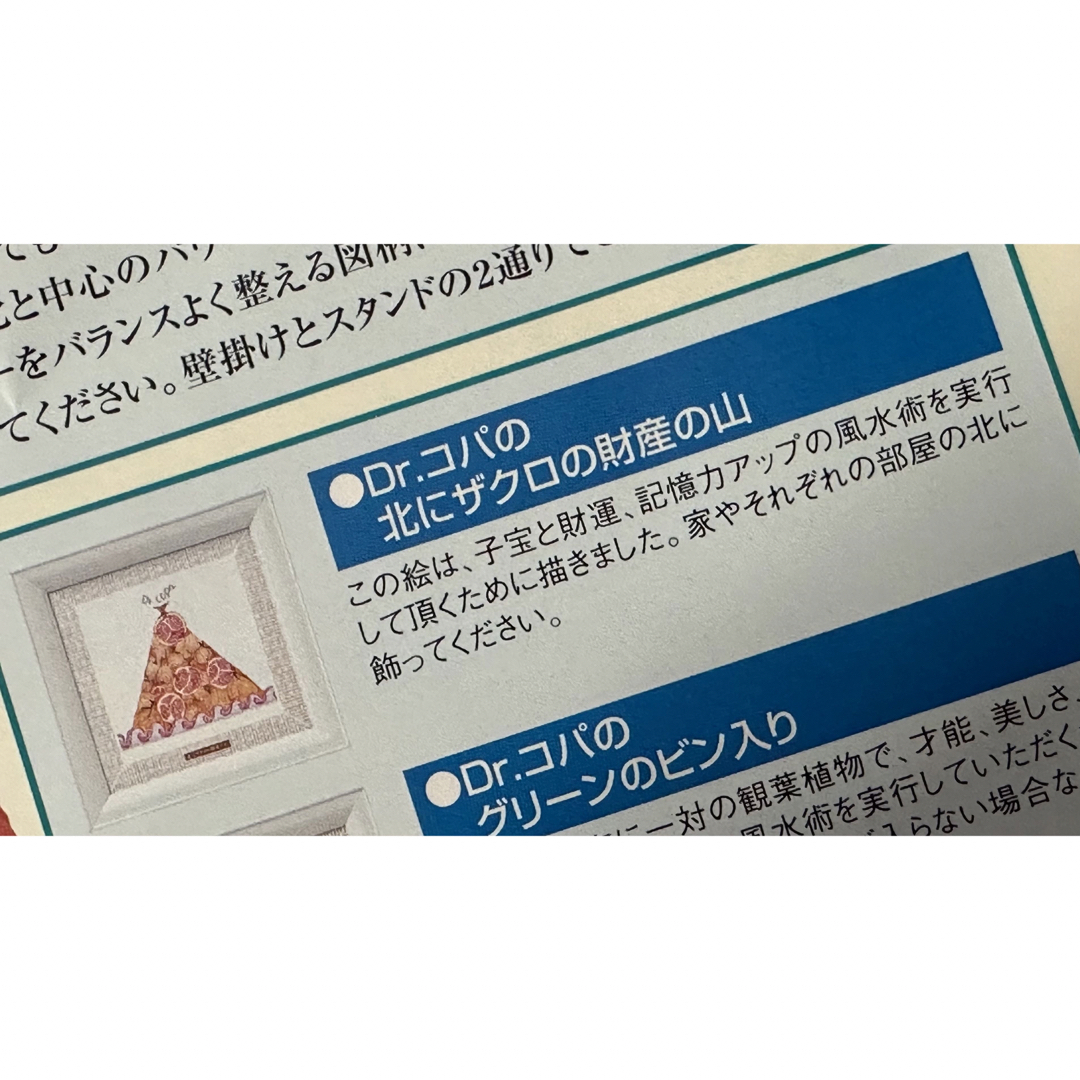 縁起物『Dr.コパの北にザクロの財産の山』 財運 子宝 額装 18×18cmの