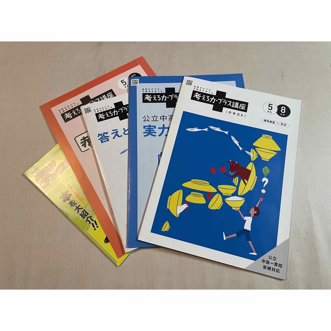 進研ゼミ 中学受験講座 5年生 5月-8月 小学校用教材セット