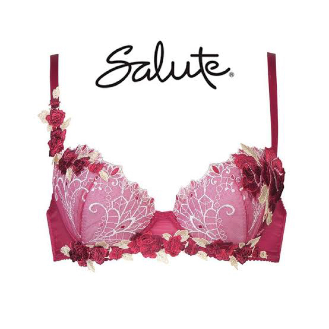 希少✨☆ワコール サルート E65・M☆62G