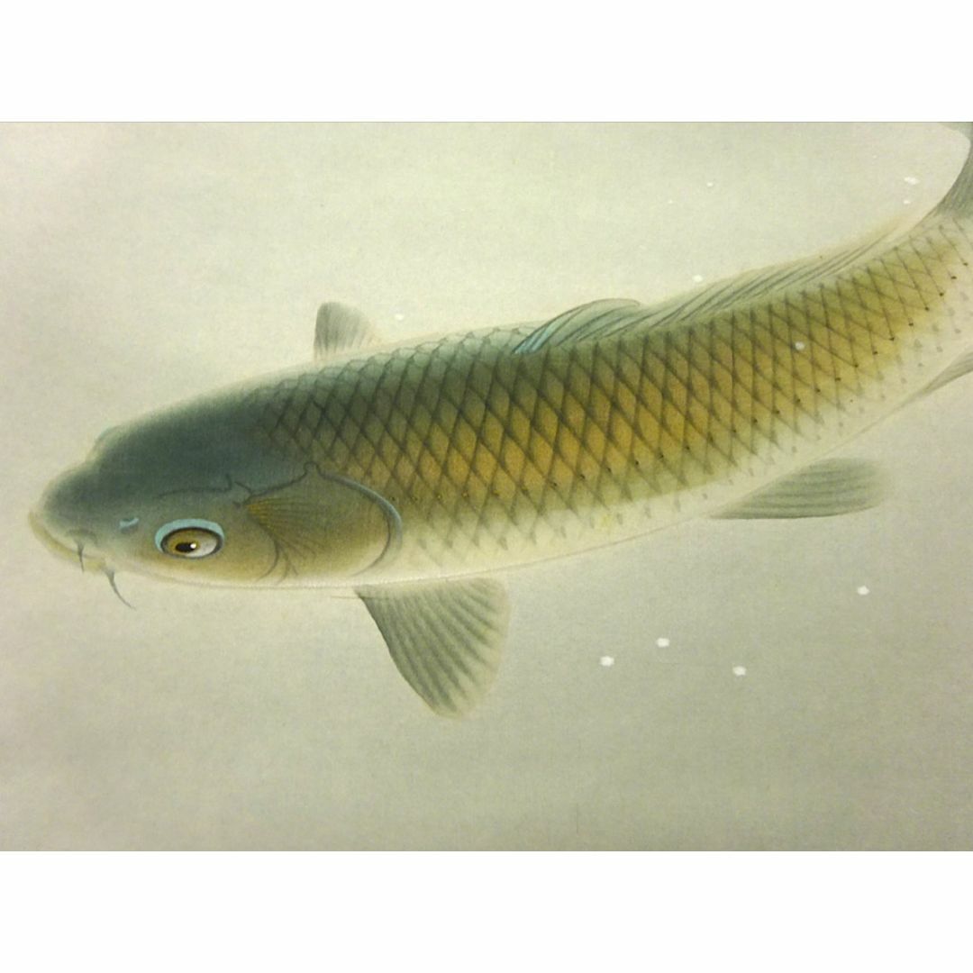 真作】掛軸 大谷園泉『遊鯉』日本画 絹本 肉筆 共箱付 掛け軸 p062812