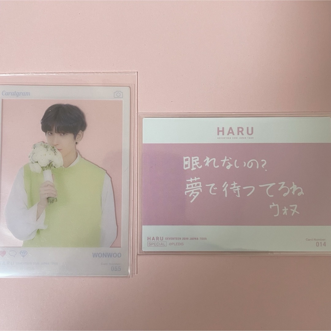 SEVENTEEN ウォヌ HARU トレカ コンプ 13枚セット SEVENTEEN ウォヌ