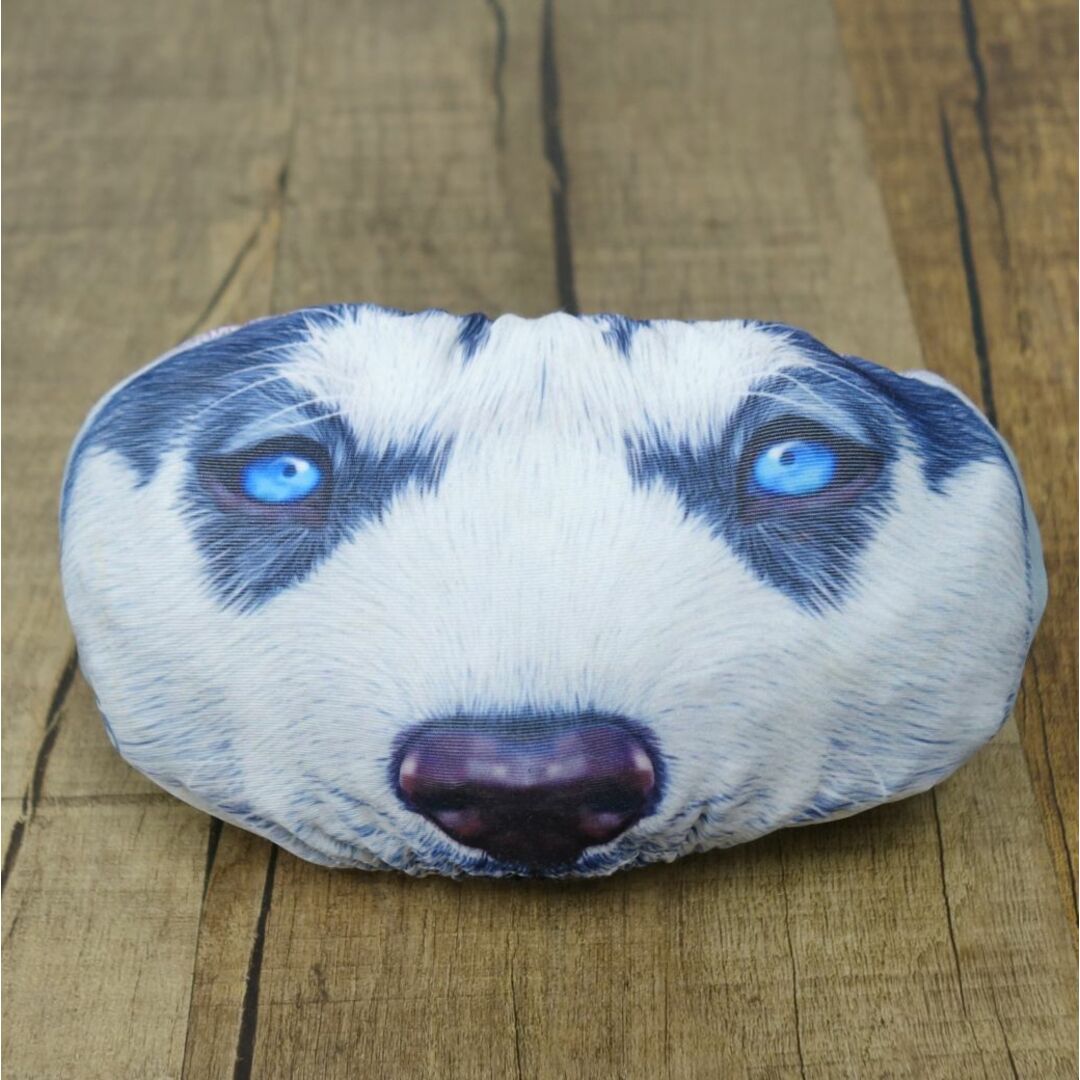 美品 アークテリクス ARCTERYX POWDER FACE CASE パウダーフェイス