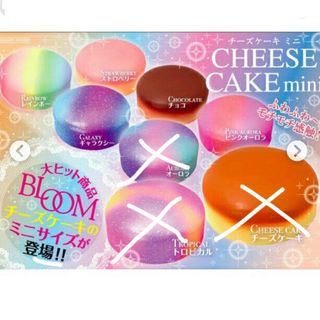 BLOOM - スクイーズ ブルーム チーズケーキミニ セット の通販 by