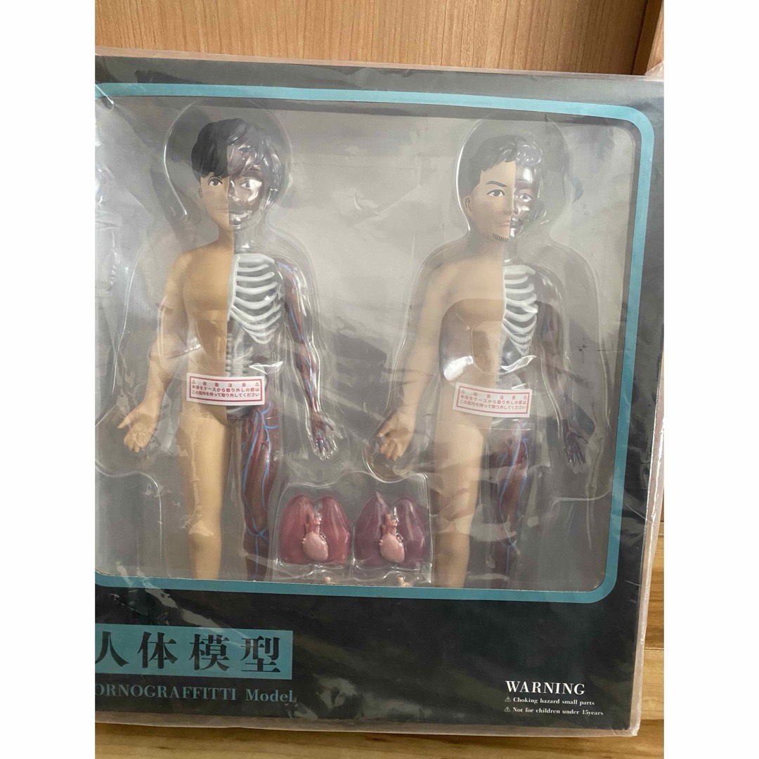 ポルノグラフィティ - ポルノグラフィティ 人体模型の通販 by shop