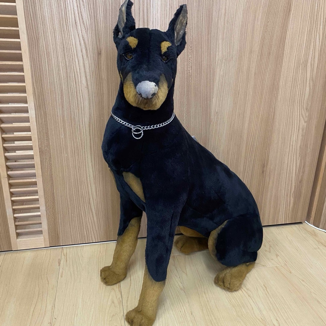 ジョックライン イタリア製 特大 ドーベルマン 座り ビッグサイズ no