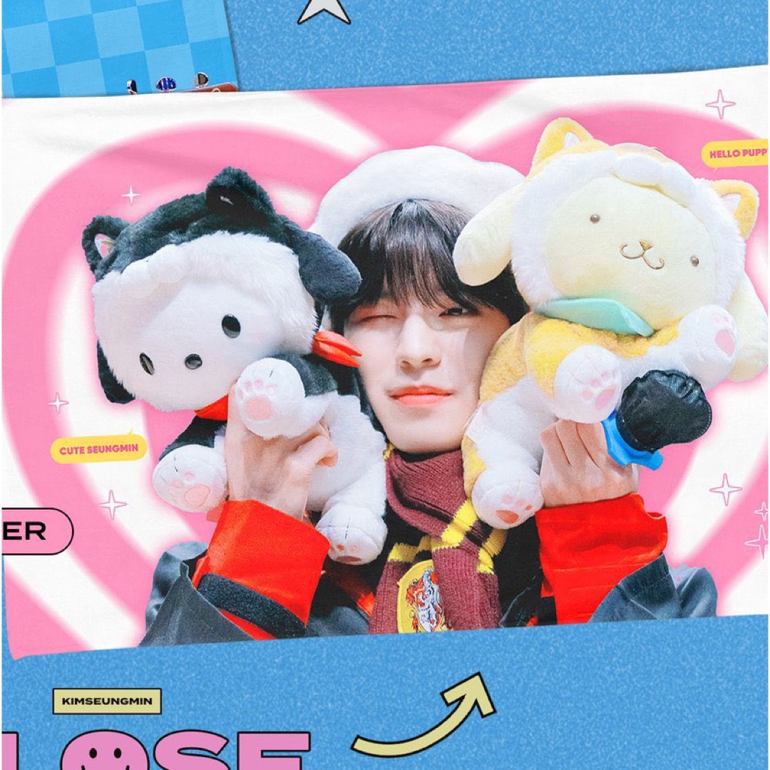 Stray Kids - スンミン ブランケットの通販 by JPGO4STAY(プロフ必読