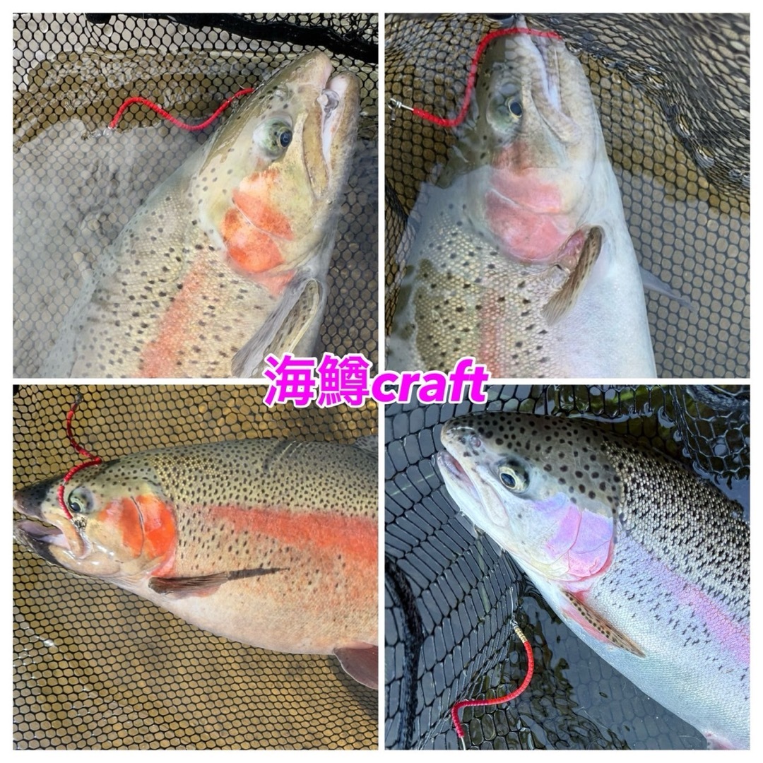 管釣り エリアトラウト【巻き直し不要】海鱒スパイラルルアー Hunterの