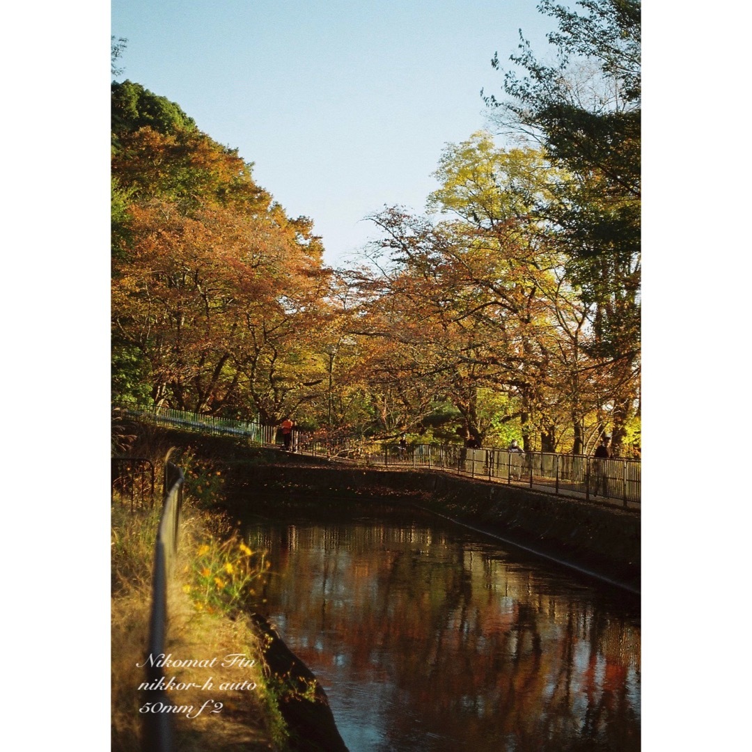 Nikon - nikon ftn＊black＊50mm f2☆完動品＊初期保証＊作例多数！の