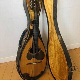 マンドリンの中古フリマアイテム一覧