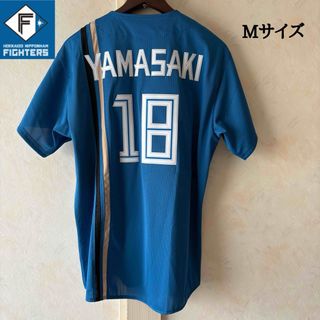 北海道日本ハムファイターズ - ◇大谷翔平 ファイターズ時代 貴重A4