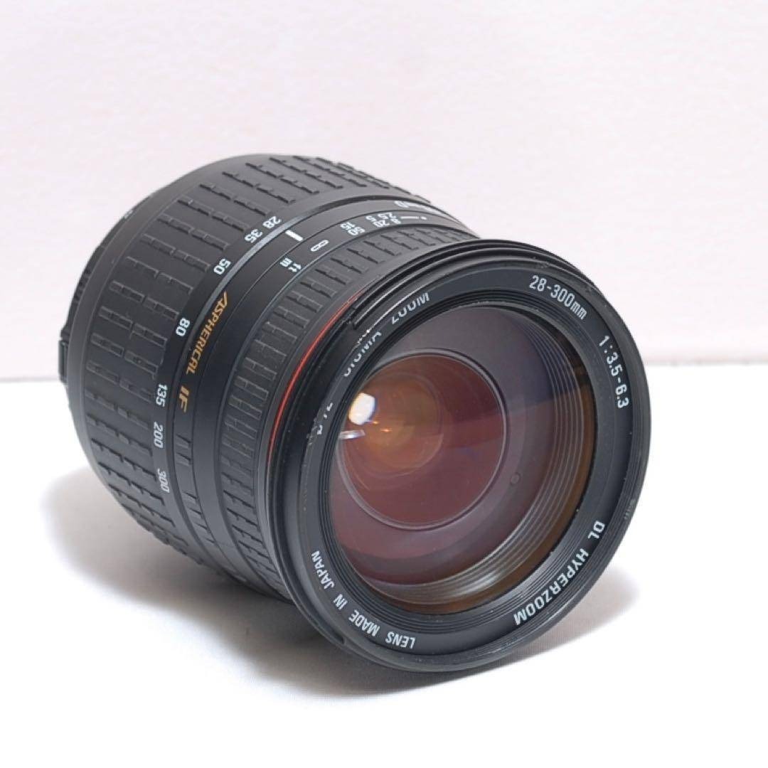 Nikon - 一本で近くから遠くまで✨ニコン D70✨一眼レフカメラ✨入門