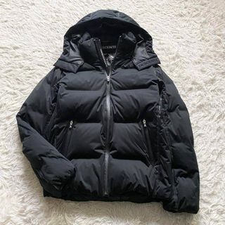 DESCENTE ALLTERRAIN - ✨極美品 水沢ダウンマウンテニア《M》の通販