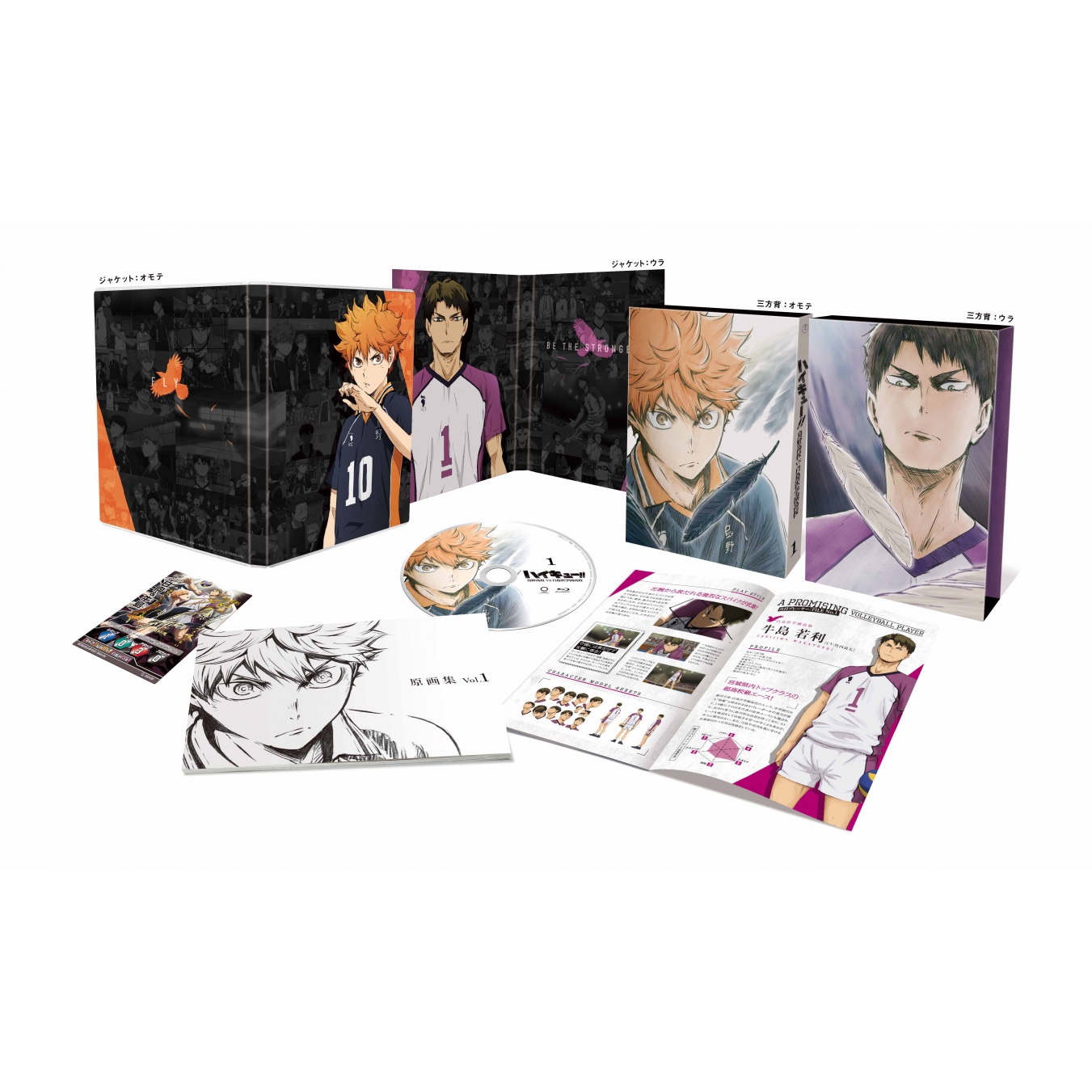 ハイキュー!! 烏野高校 VS 白鳥沢学園高校 Vol.1 DVD 初回生産限定版