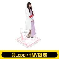 ビッグアクリルスタンド（全21種） | 櫻坂46