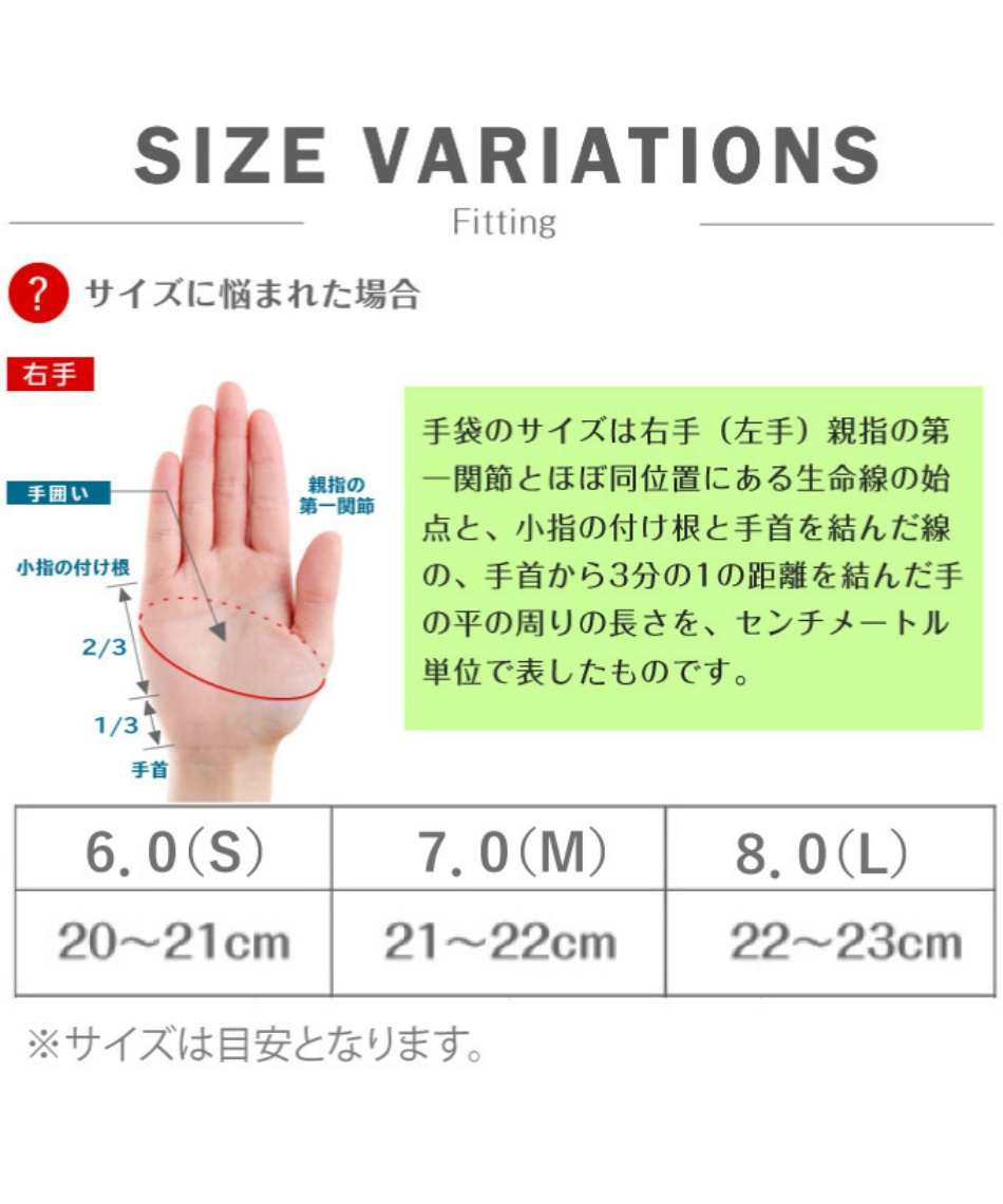 ヘストラ(HESTRA) スキーグローブ ワカヤマ WAKAYAMA 30720 | スポーツ