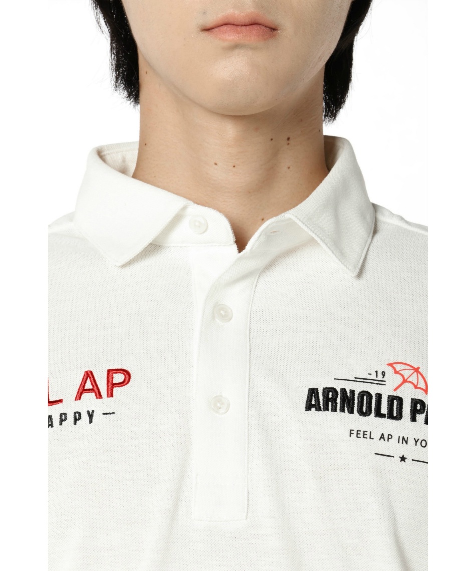 ゴルフウェア ポロシャツ 長袖 ロゴ刺繍長袖ポロ AP220202E13