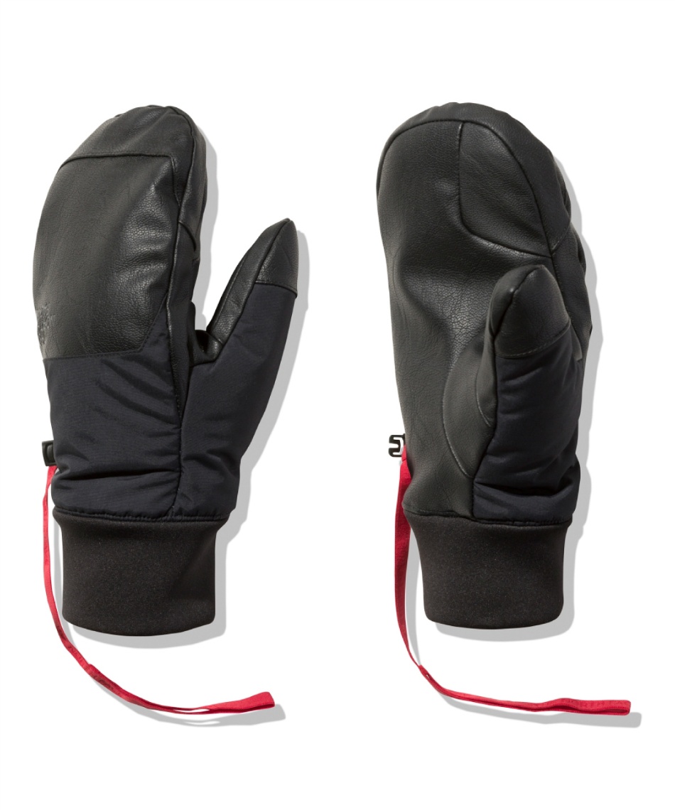 ザ・ノース・フェイス(THE NORTH FACE) スキーグローブ ミトン Fakie