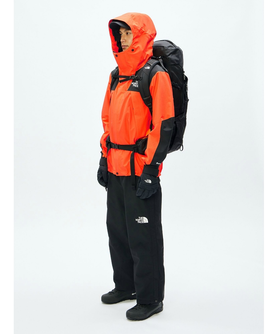 マウンテンパーカー ゴアテックス マウンテンジャケット NP61800 PO