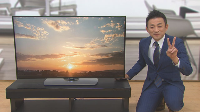 シャープ テレビ 4K液晶テレビ アクオス 50V型 LC-50U40 設置取付なし