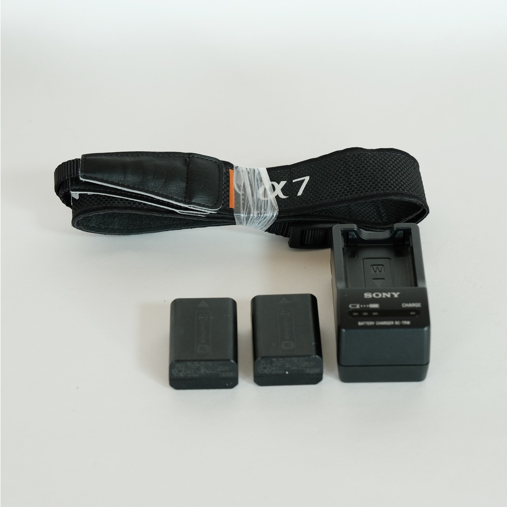 SONY α7S II（ILCE-7SM2）の出品 | ONE SCENE（ワンシーン）