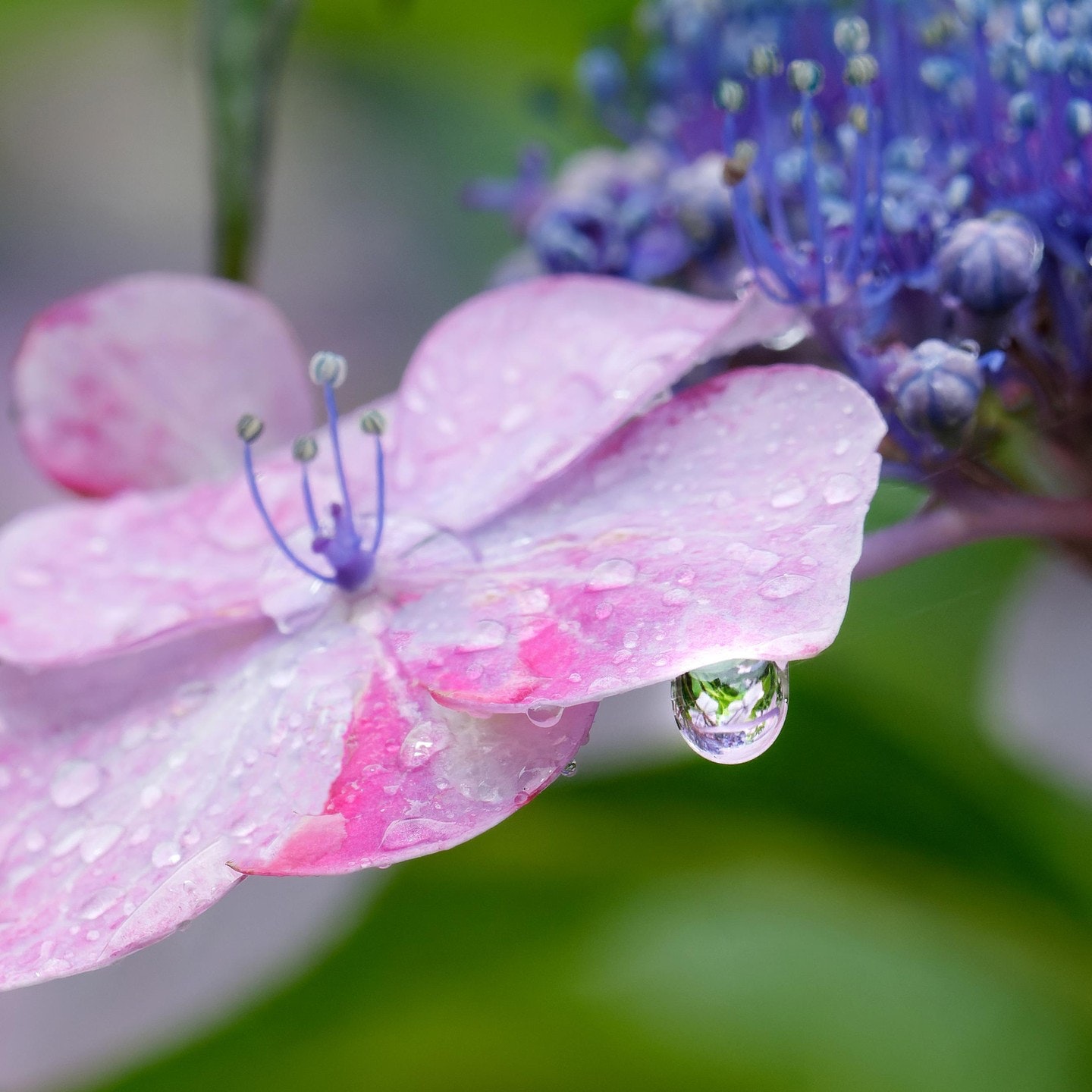 Panasonic LEICA DG VARIO-ELMAR 100-400mm / F4.0-6.3 ASPH. / POWER