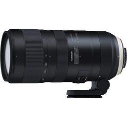 SIGMA 100-400mm F5-6.3 DG OS HSM｜Contemporary [ニコン用]を徹底