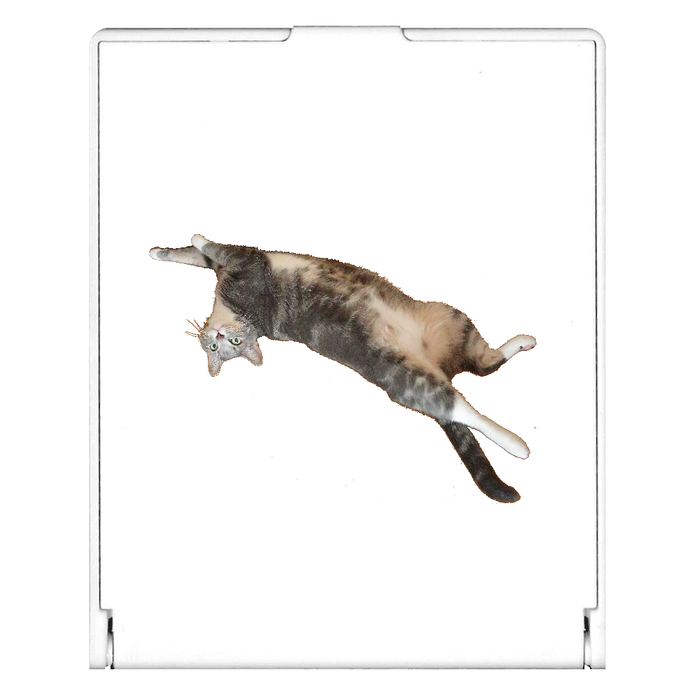 へそ天ねこが呼んでいるスクエアミラーの商品購入ページ｜クリエイター