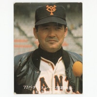 カルビー プロ野球カード 1973年度版 №214 木俣達彦