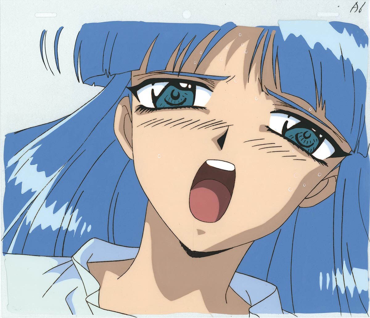 4262] 魔法騎士レイアース セル / 龍咲海