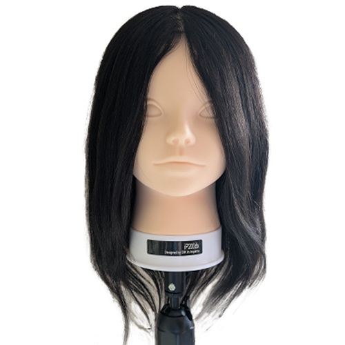 レジーナ FB-606 カットマネキン その他の通販・卸 | 4530984220621