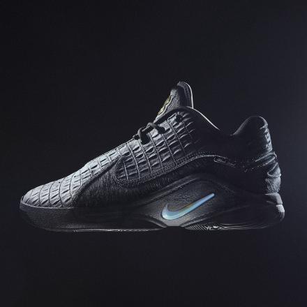 国内2月14日発売予定】ナイキ レブロン 22 EP 