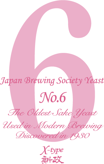 X-type 2024 別撰 袋吊り | Sakenomy - 日本酒を知り、日本を知る