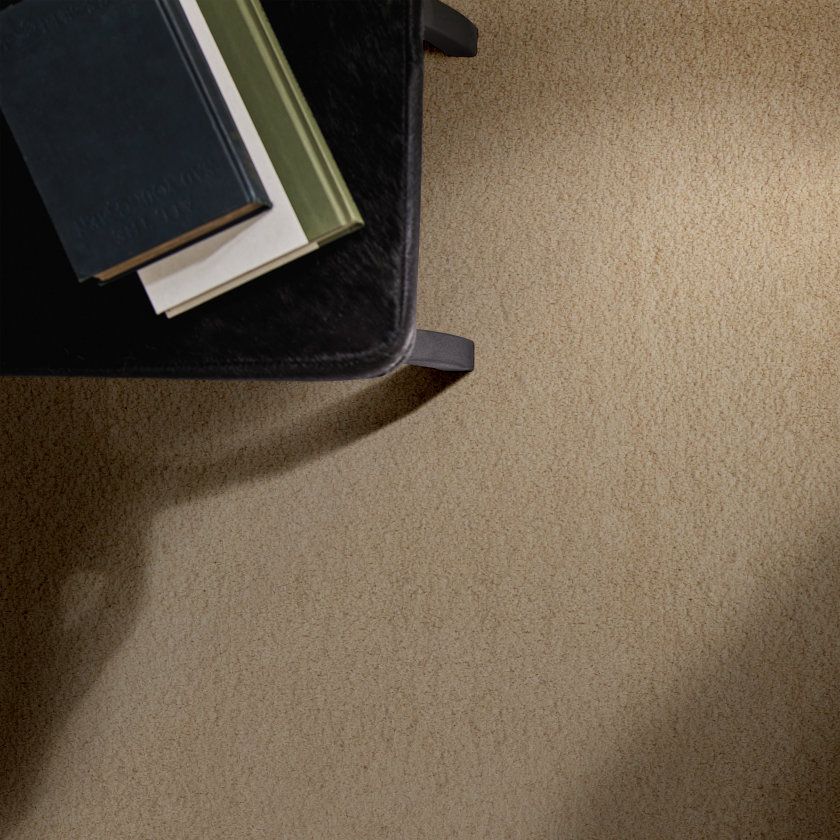 Luxe Feel I - 100% ANSO® High Performance Nylon in Gentle Doe