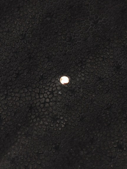 おりつむ】象革 クラッチバッグ（バッグ）｜T・MBH（ティーエムビー