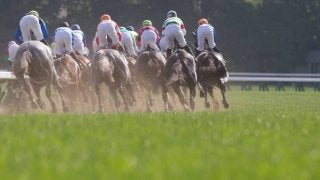 日本ダービー／馬場情報】雨の土曜も“内枠と逃げ”が台頭 馬場が乾けば