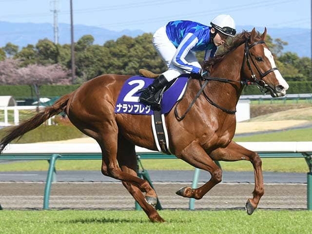 高松宮記念】GI初制覇のナランフレグ 日本競馬の歴史詰まった牝系