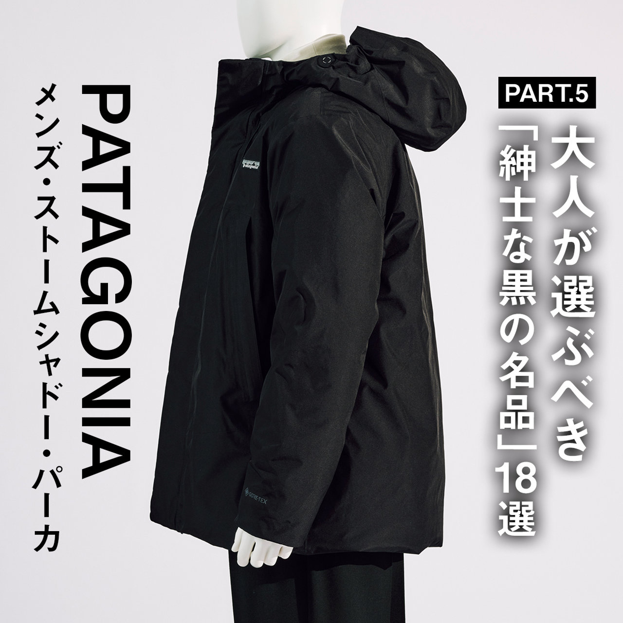パタゴニアのゴアテックスダウン】大人が選ぶべき「紳士な黒の名品」18