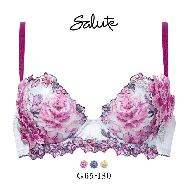 ワコール サルート 21グループ 21G P-UP ブラジャー プッシュアップ