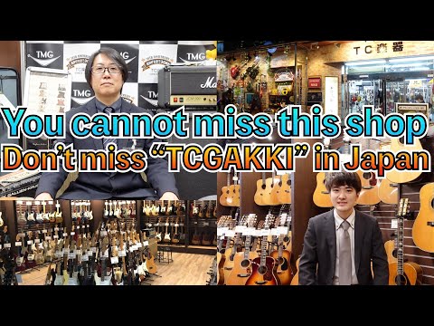 EAR FUZZ effects PSOUND | Reverb