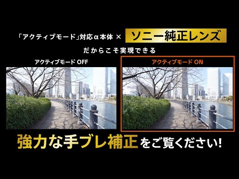 カメラレンズ FE 70-200mm F2.8 GM OSS G Master ホワイト SEL70200GM