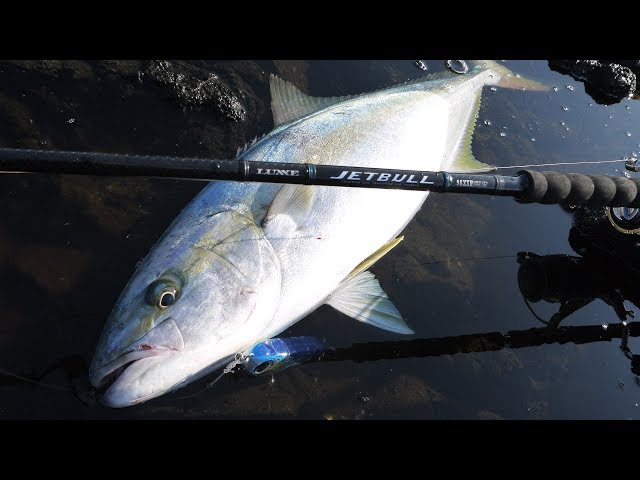 ラグゼ ジェットブル | がまかつ