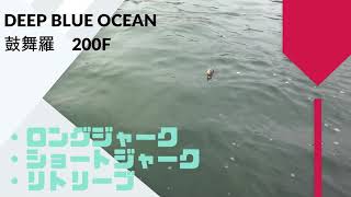 DEEP BLUE OCEAN(ディープブルーオーシャン) 鼓舞羅(コブラ) 200F 使用