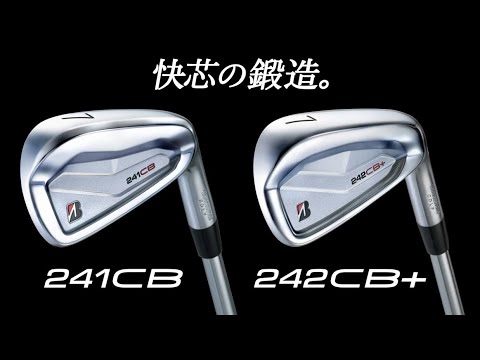 アイアン 6本セット #5～9、PW 242CB+ IRON シルバー 2PPS6IS [N.S.PRO