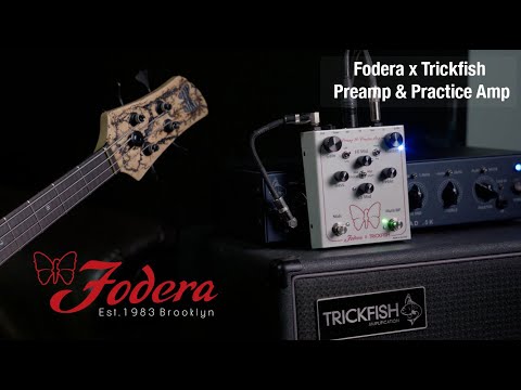 Fodera x Trickfish Preamp & Practice Amp Bass Pedal | Sweetwater